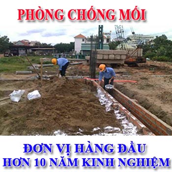 Phong-chong-moi